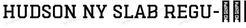 Hudson NY Slab Regu字体转换
